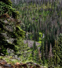 photo thumbnail #15
