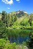photo thumbnail #2