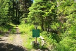photo thumbnail #7