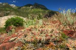 photo thumbnail #10