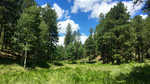 photo thumbnail #13