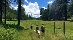 photo thumbnail #14