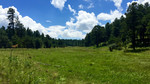 photo thumbnail #15