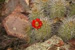 photo thumbnail #15