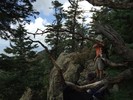 photo thumbnail #13