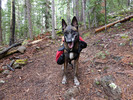 photo thumbnail #7