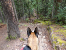 photo thumbnail #8