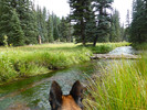 photo thumbnail #10