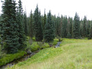 photo thumbnail #12