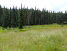 photo thumbnail #14