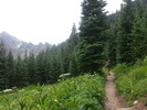photo thumbnail #5