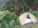 photo thumbnail #11
