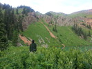 photo thumbnail #14