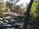 photo thumbnail #14