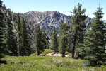 photo thumbnail #5