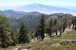 photo thumbnail #13