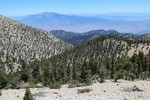 photo thumbnail #14