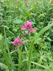 photo thumbnail #7