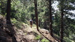 photo thumbnail #3