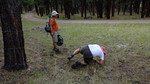 photo thumbnail #10