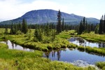 photo thumbnail #6