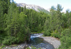 photo thumbnail #3