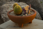 photo thumbnail #3