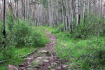 photo thumbnail #3