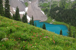 photo thumbnail #7