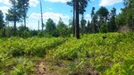 photo thumbnail #8