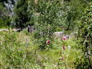 photo thumbnail #14