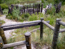 photo thumbnail #15