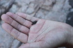 photo thumbnail #2