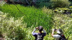 photo thumbnail #3