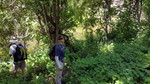 photo thumbnail #4