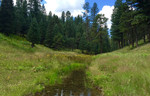 photo thumbnail #7
