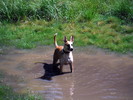 photo thumbnail #1