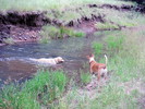 photo thumbnail #5