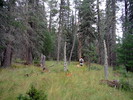 photo thumbnail #6