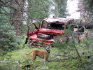 photo thumbnail #10