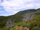 photo thumbnail #8