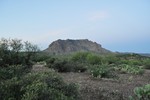 photo thumbnail #1