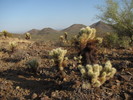 photo thumbnail #2