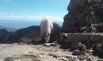 photo thumbnail #14
