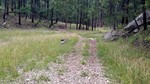 photo thumbnail #13