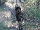 photo thumbnail #3