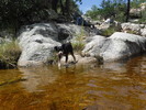 photo thumbnail #9
