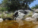 photo thumbnail #12