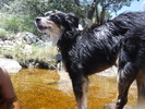 photo thumbnail #13