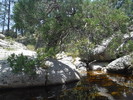 photo thumbnail #14